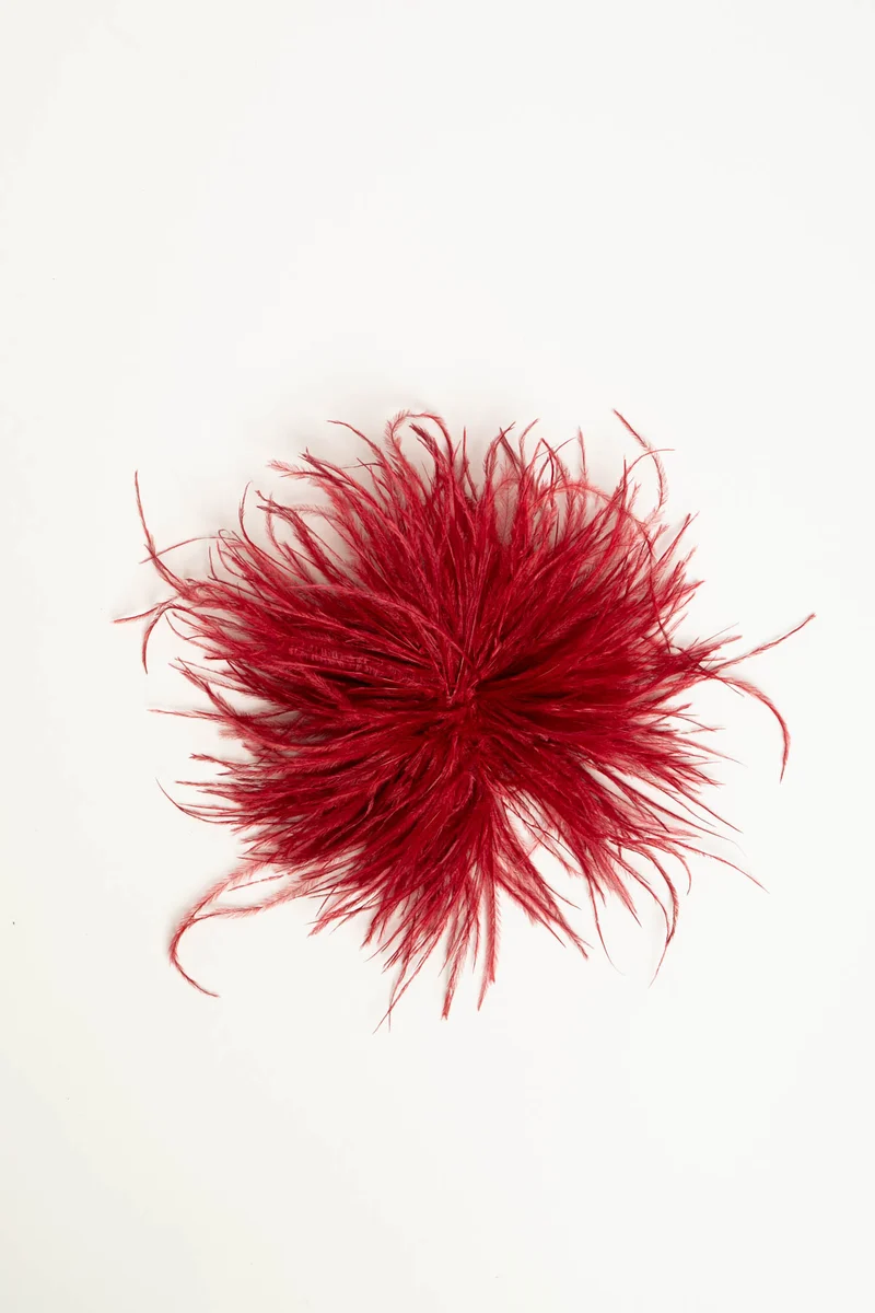 Spilla con piume rosse