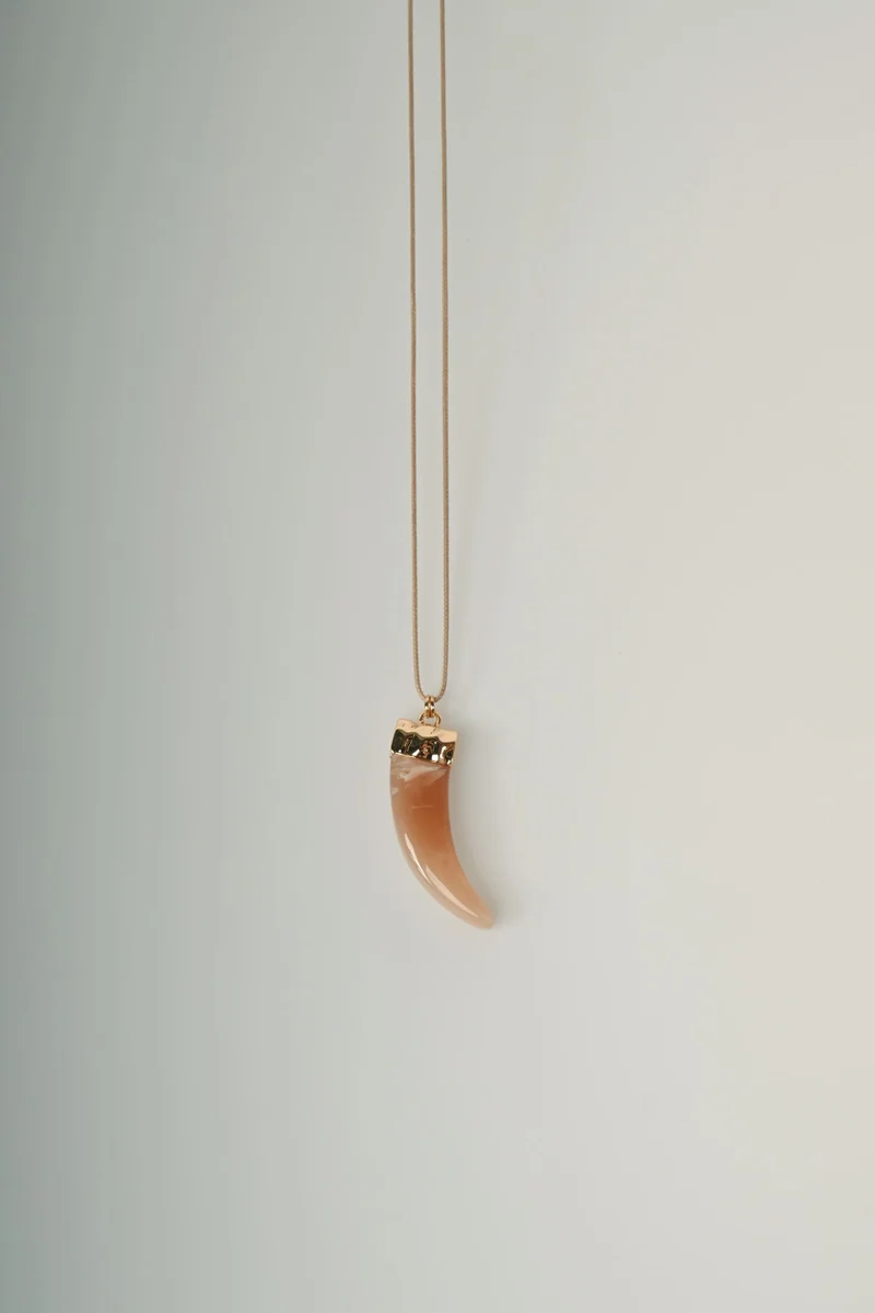 Collana con corno