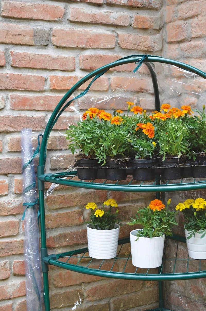 Serra Angolare da Giardino in Metallo e PVC Bertozzi