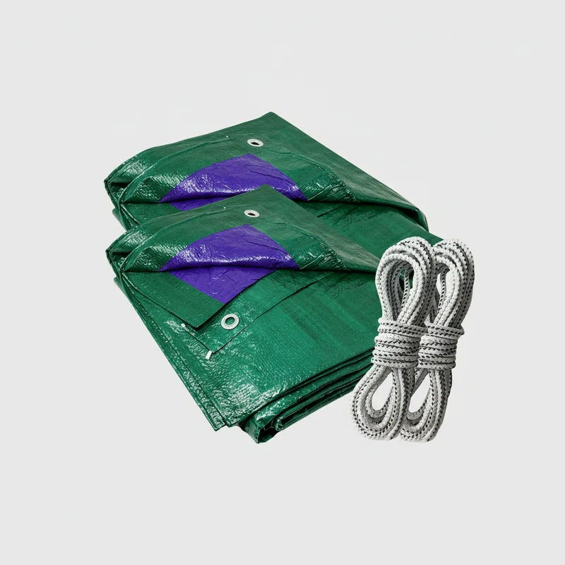 Telo impermeabile esterno telone Multiuso n. 2PZ da 100gr/mq