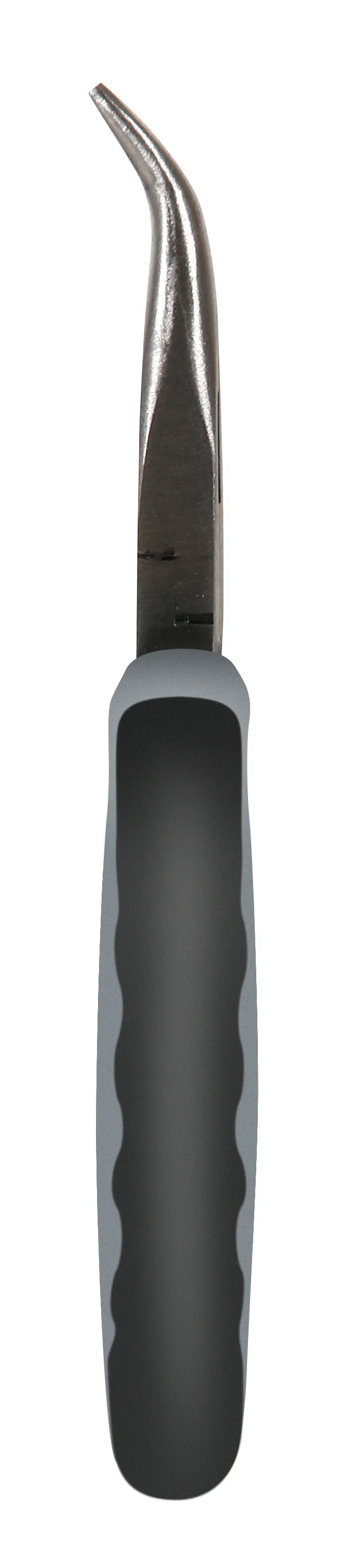 Pinza becchi curvi 6"