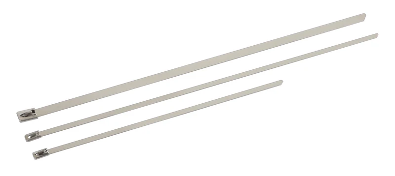 Fascette in acciaio inox, set 20 pz