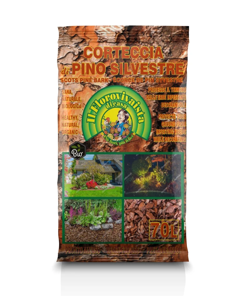 SCORZETTA DI PINO SILVESTRE LT.70