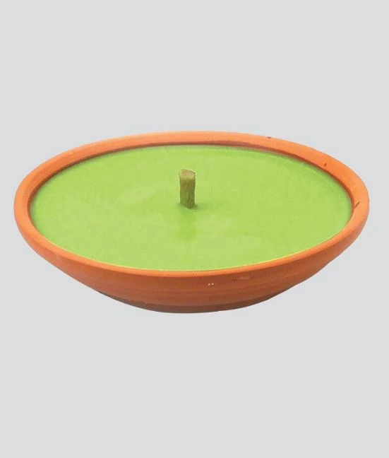 FIACCOLA EUCALIPTO VASC/COC.D15 H35