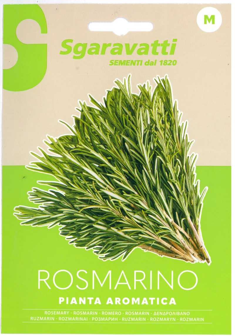 SEMI ROSMARINO ALPACK