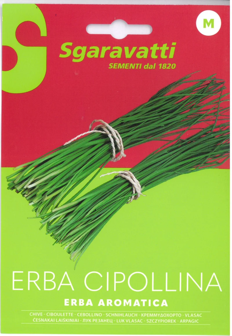 SEMI ERBA CIPOLLINA ALPACK