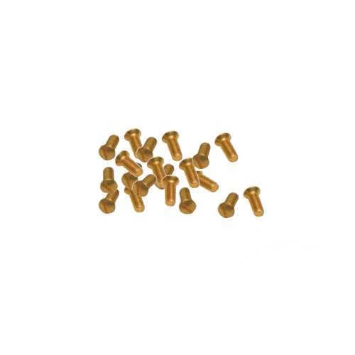 Viti Ottone Per Coprinterruttori Placche Interruttori 10 Pz