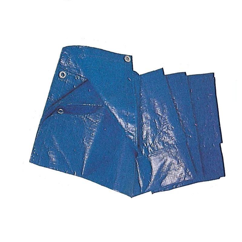 Telone Occhiellato Telo Con Occhielli Mt 2 X 3 Piscina Copertura Impermeabile
