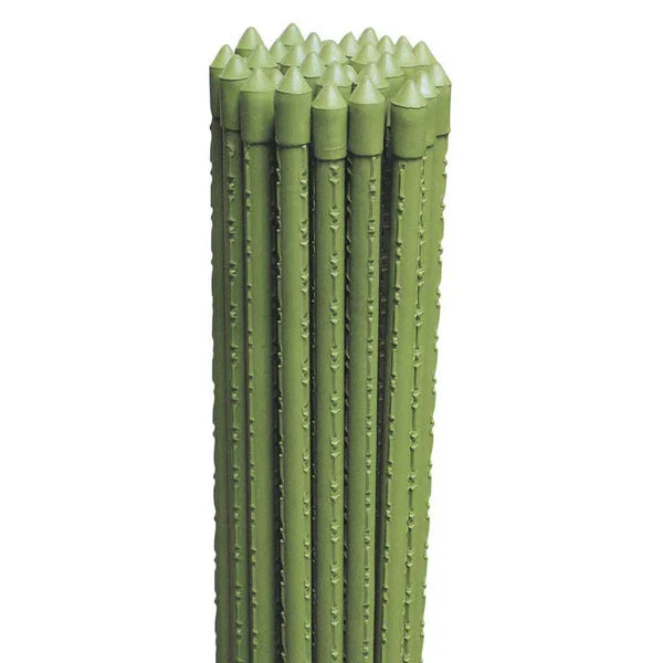 Tutore in Bamboo Plastificato H 210 cm Ø 11 mm - Confezione da 50 Pz
