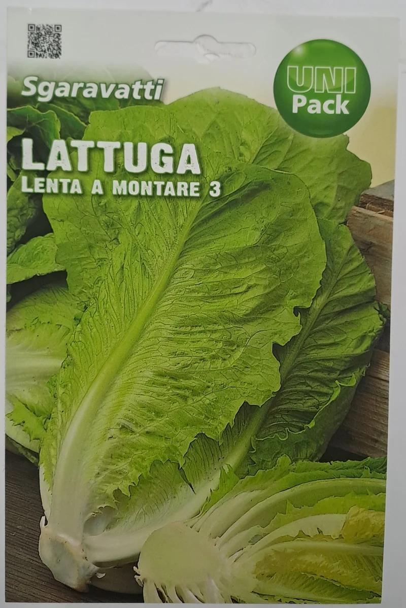 SEMI LATTUGA ROM.BIONDA LEN.UNIPACK