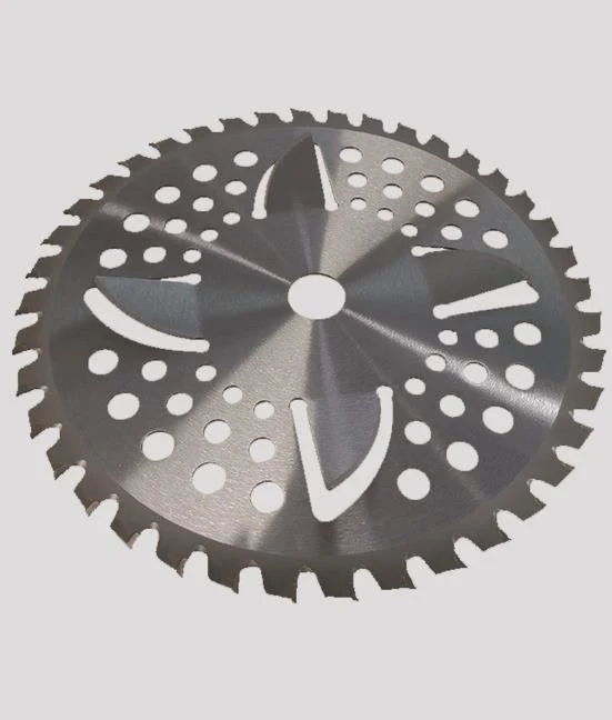 DISCO DECESP.RAZOR C/ALETTE 255X25