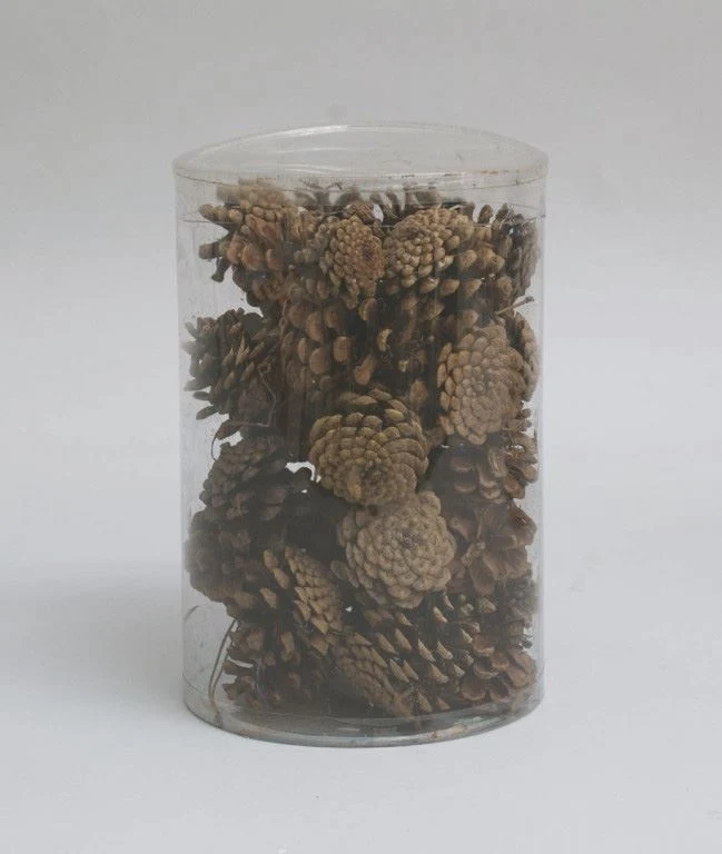 PIGNE NATURALI SET 25PZ