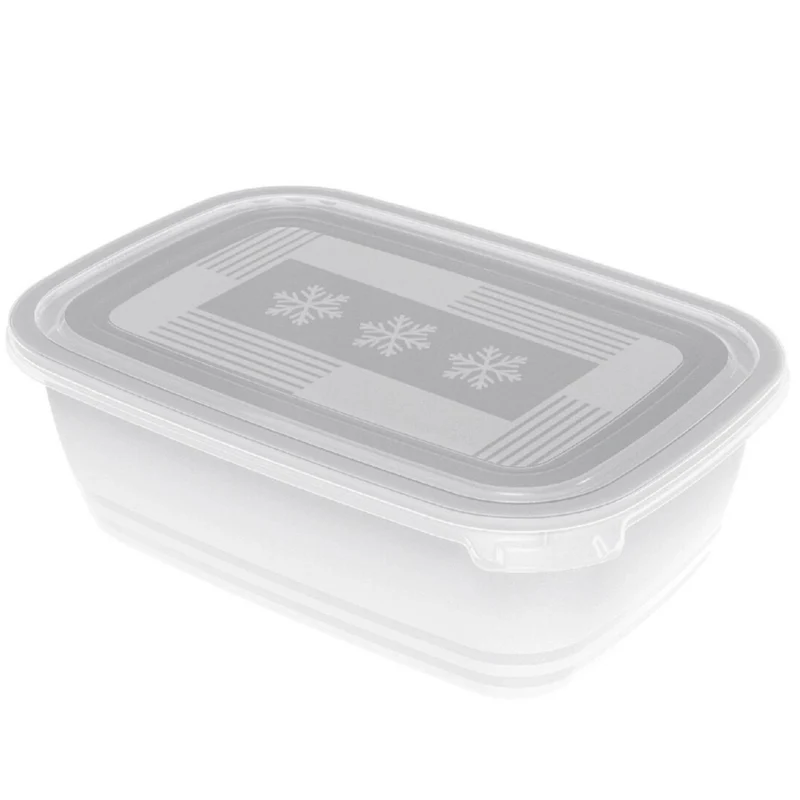 Set contenitori per freezer