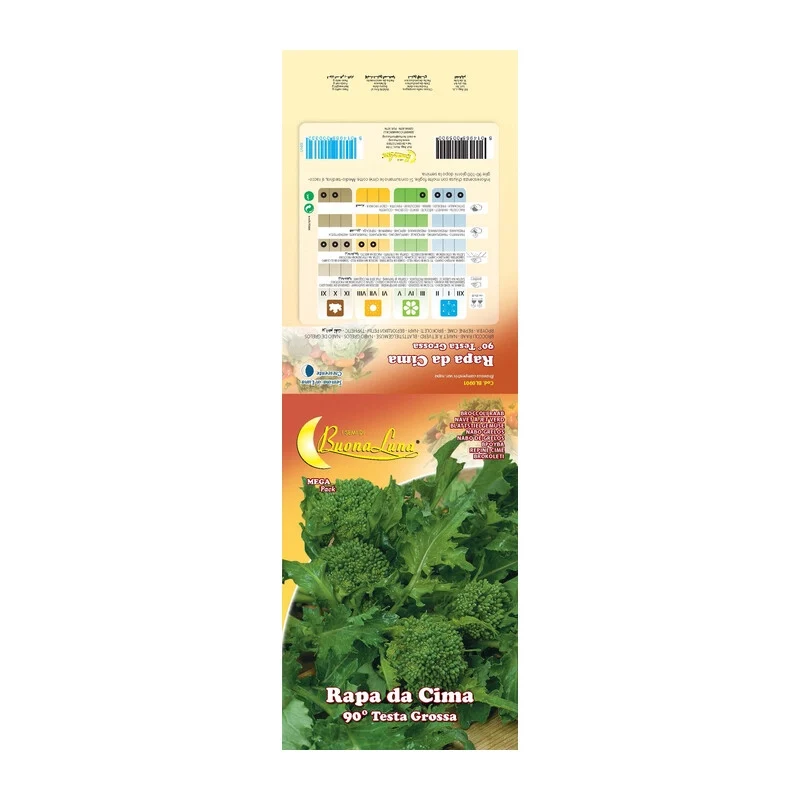 Semi Orto Cima di Rapa Novantina 10 Pezzi
