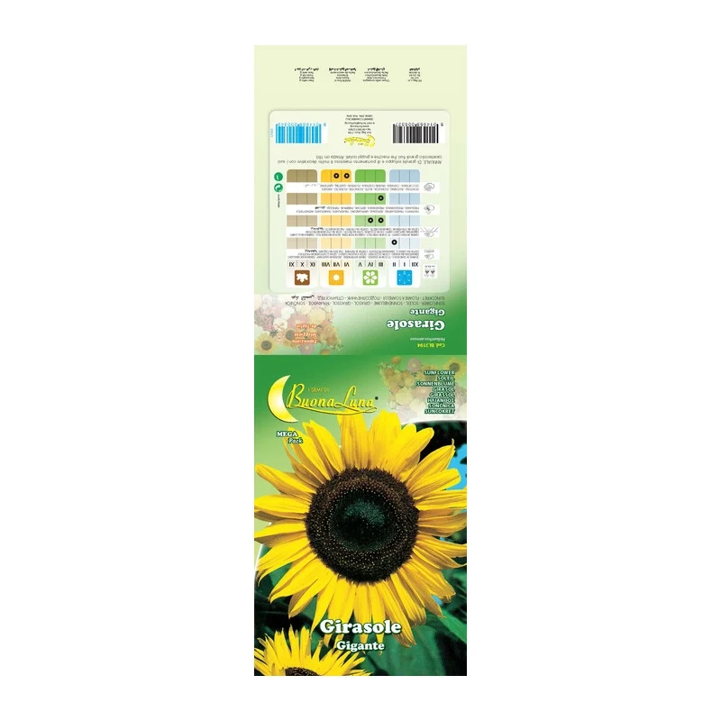 Semi Garden Girasole Gigante 10 Pezzi