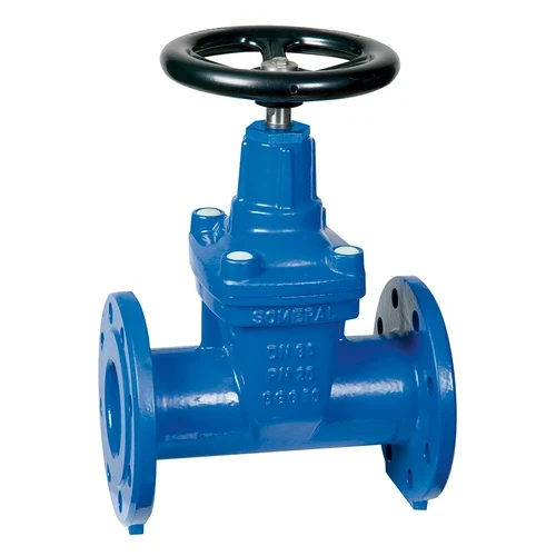 Saracinesca corpo ovale dn 80 pn 25