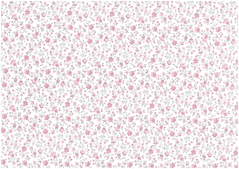 PLASTICA ADES.H45X15MT.CLAIRE-10237