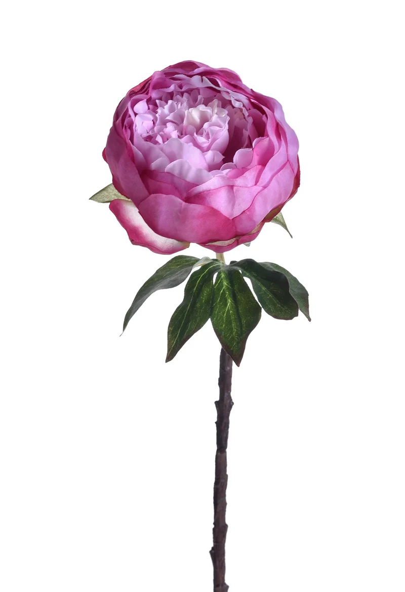 Set 6 Rami Artificiali Peonia H 48 cm