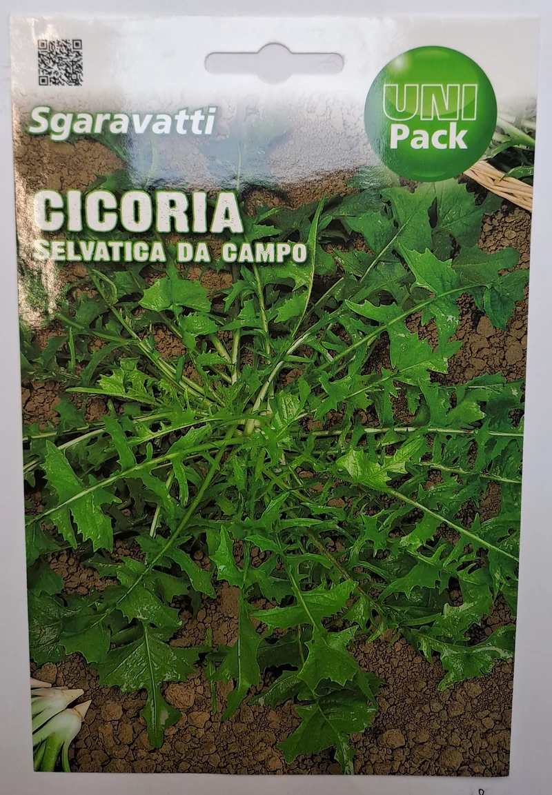 SEMI CICORIA SELVATICA UNIPACK