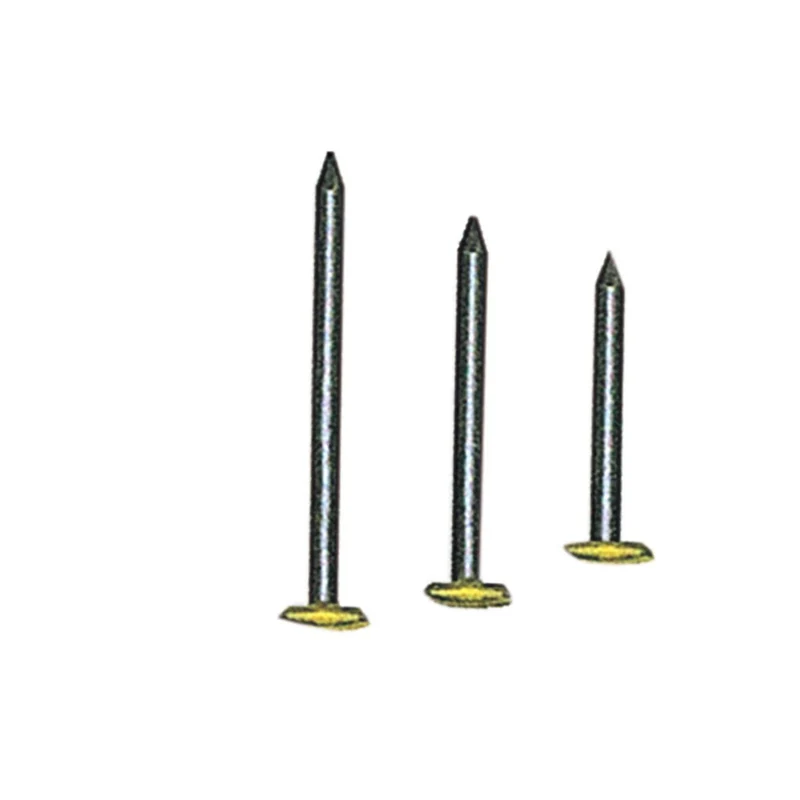 Scatola chiodi Testa Ricoperta Ottone - 100 pz - 10 conf