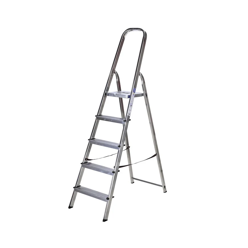 Scala All. Facal Domus K100 5 Gradini