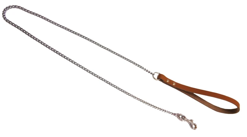 Catena Maglia Media 100 cm Guinzaglio per Cani 6 Pezzi
