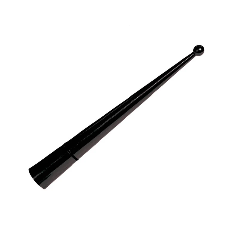 Antenna auto Synergie nera